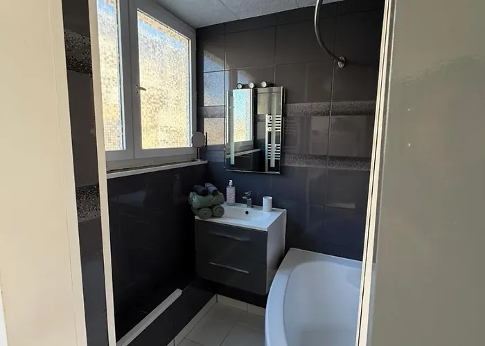 Apartment Hyper-centre Stella *